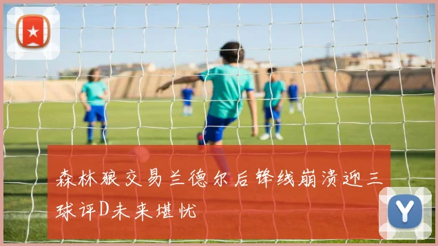 森林狼交易兰德尔后锋线崩溃迎三球评D未来堪忧