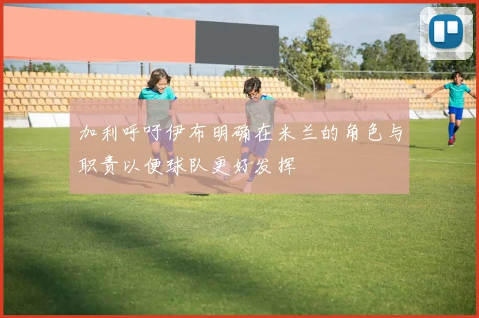加利呼吁伊布明确在米兰的角色与职责以便球队更好发挥